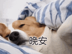 晚安（晚安）