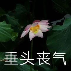 垂头丧气（垂头丧气）