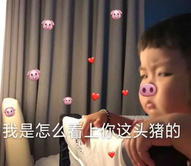 我是怎么看上你这头猪的（我是怎么看上你这头猪的）