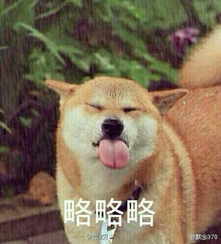 略略略（略略略）