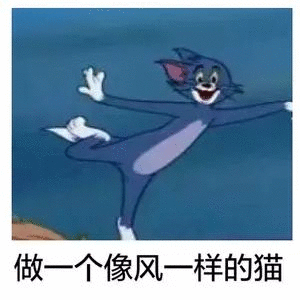 做一个像风一样的猫（做一个像风一样的猫）