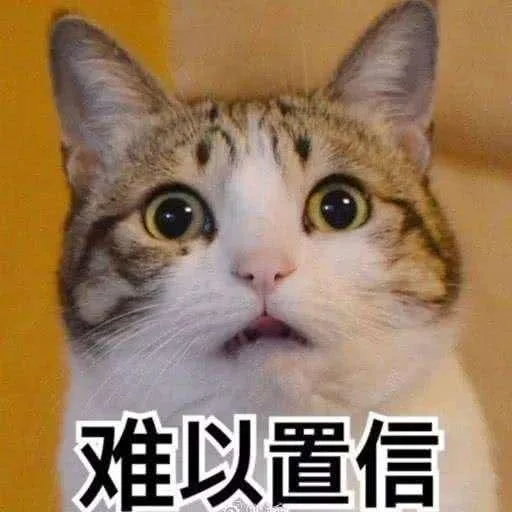 难以置信（难以置信）