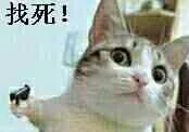 找死！（喵星人拿枪）（找死！（喵星人拿枪））