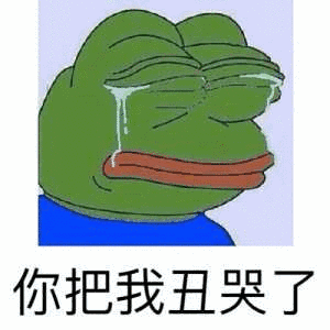 你把我丑哭了（你把我丑哭了）