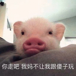 你走吧我妈不让我跟傻子玩（你走吧我妈不让我跟傻子玩）