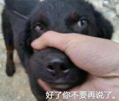 好了，你不要再说了。（好了，你不要再说了。）