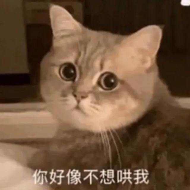 你好像不想哄我（你好像不想哄我）