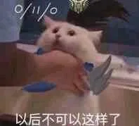 以后不可以这样了（以后不可以这样了）