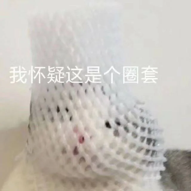 我怀疑这是个圈套（我怀疑这是个圈套）