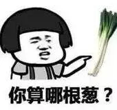 你算那根葱（你算那根葱）