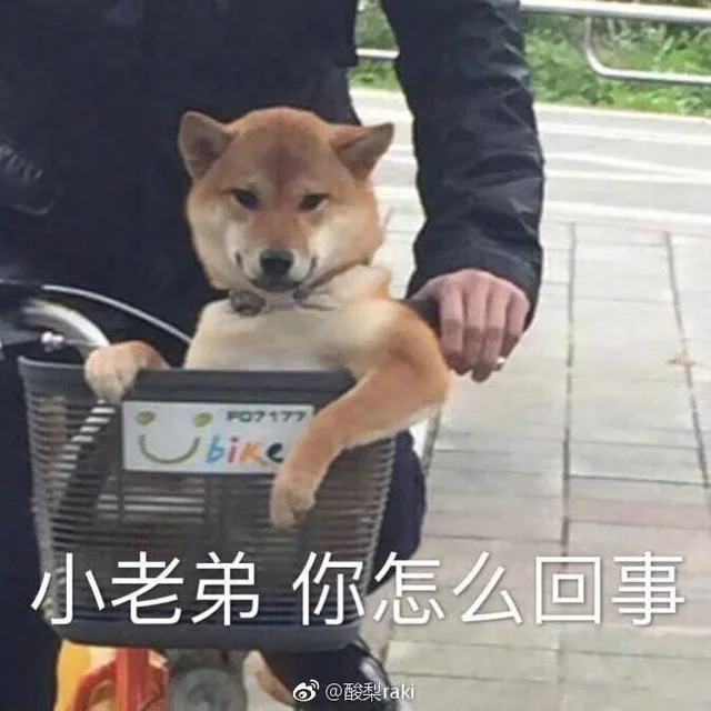 bike小老弟你怎么回事@酸梨tai（bike小老弟你怎么回事@酸梨tai）