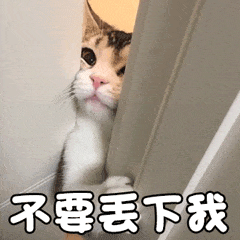 不要丢下我（不要丢下我）