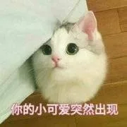 你的小可爱突然出现（你的小可爱突然出现）
