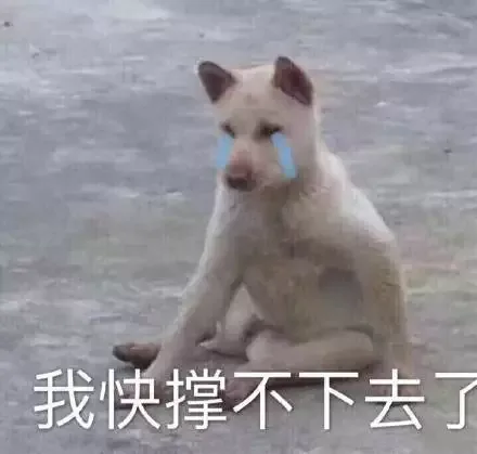 我快撑不下去（我快撑不下去）
