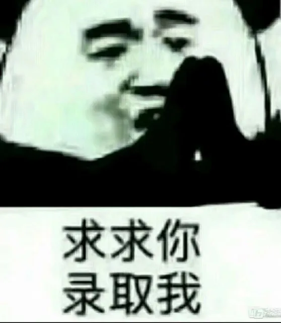 求求你录取我（求求你录取我）