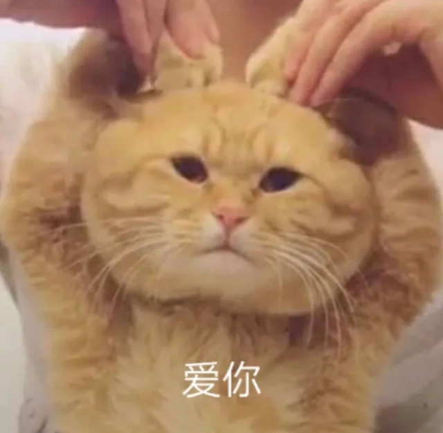 爱你（爱你）