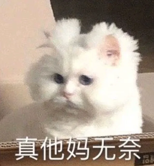 真他吗无奈（真他吗无奈）