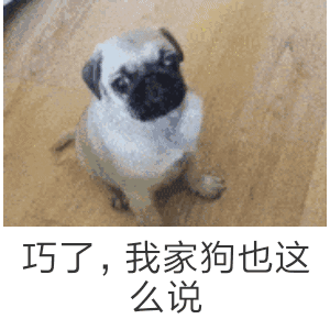 巧了，我家狗也这么说（巧了，我家狗也这么说）