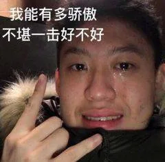 我能有多骄傲，不堪一击好不好（我能有多骄傲，不堪一击好不好）