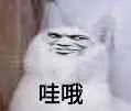 哇哦（哇哦）