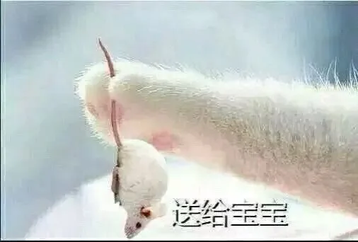 送给宝宝（送给宝宝）