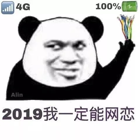 2019我一定能网恋（2019我一定能网恋）