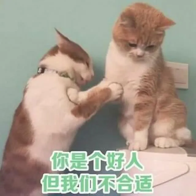你是个题人但我血环合适（你是个题人但我血环合适）