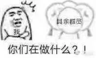 你们在做什么？（你们在做什么？）