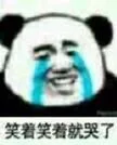 笑着笑着就哭了（笑着笑着就哭了）