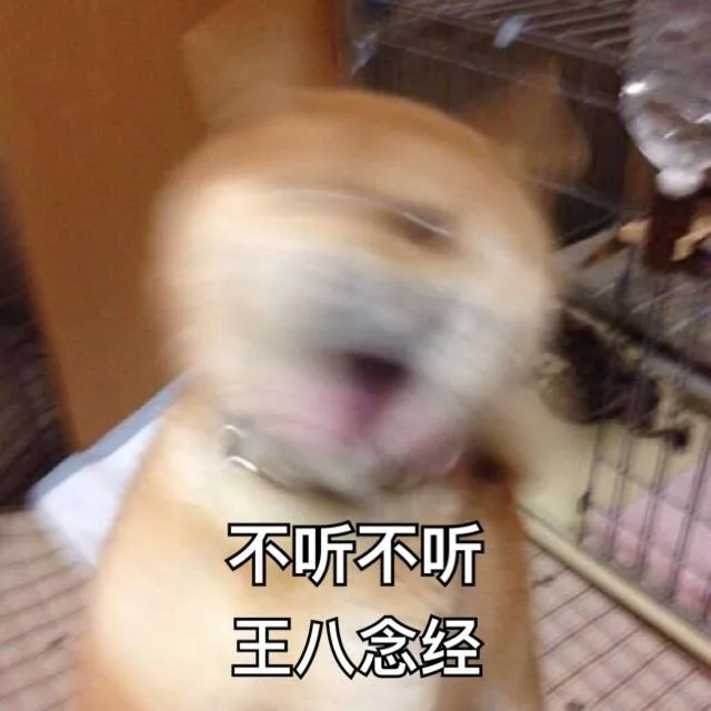 不听不听王八念经（不听不听王八念经）