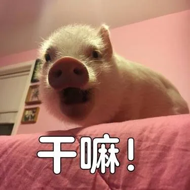 干嘛！（干嘛！）