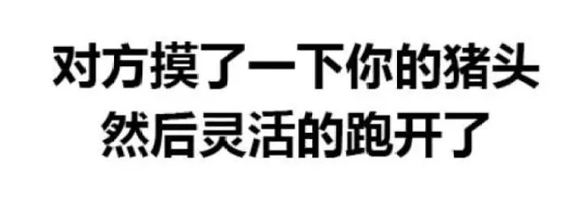 对方摸了一下你的猪头，然后灵活的跑开了（对方摸了一下你的猪头，然后灵活的跑开了）