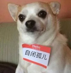 自闭孤儿（自闭孤儿）