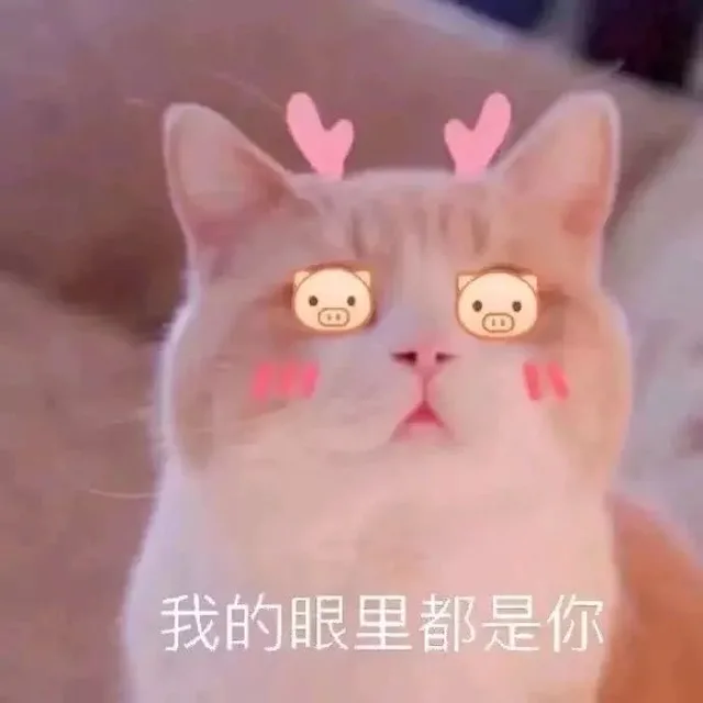 我的眼里都是你（我的眼里都是你）