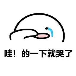 哇！的一下就哭了（哇！的一下就哭了）