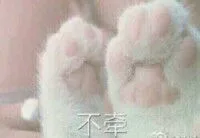 不牵（不牵）