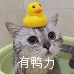 有鸭力（有鸭力）