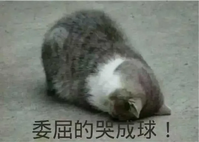 委屈的哭成球！（委屈的哭成球！）