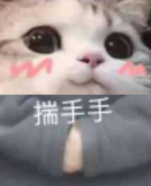 揣手手（揣手手）