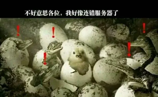不好意思各位，我好像连错服务器了（不好意思各位，我好像连错服务器了）