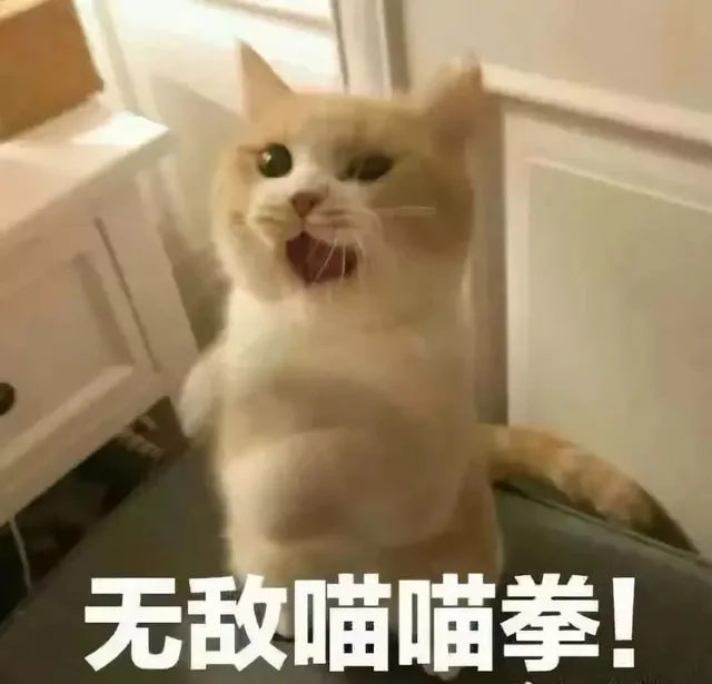 无敌喵喵拳！（无敌喵喵拳！）