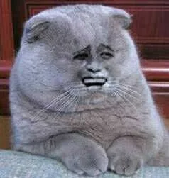 嘿嘿笑（嘿嘿笑）