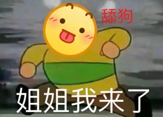 姐姐我来了（姐姐我来了）