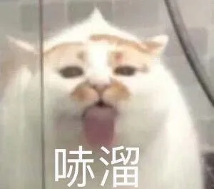 哧溜（哧溜）