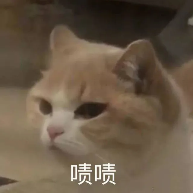 啧啧（啧啧）