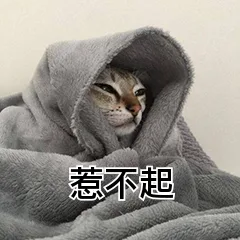 惹不起（惹不起）
