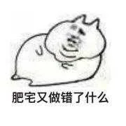 肥宅又做错了什么（肥宅又做错了什么）
