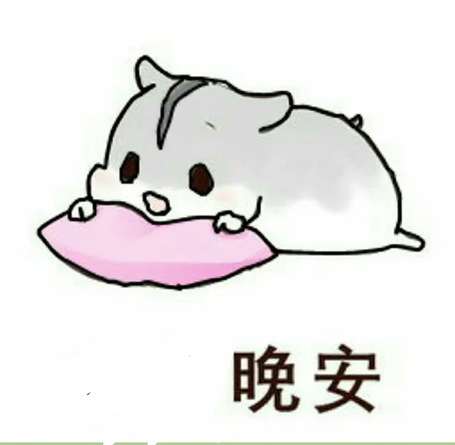 晚安（晚安）
