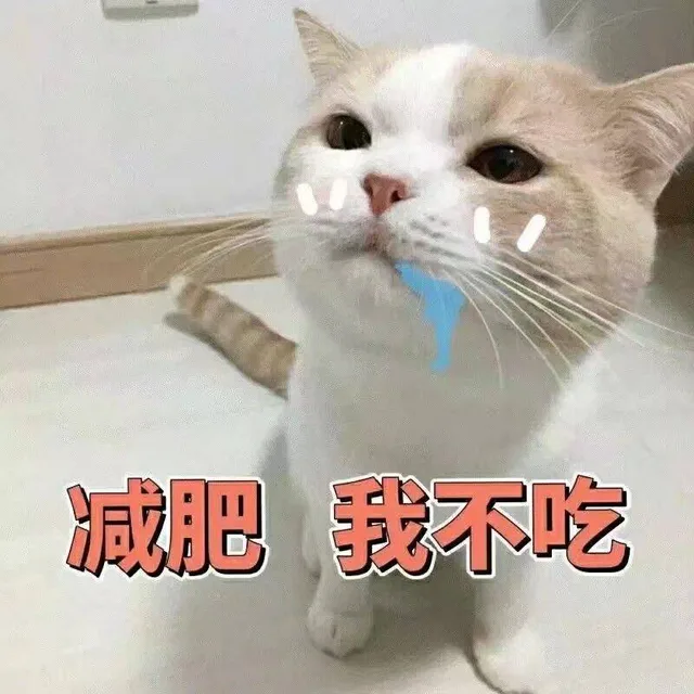 减肥，我不吃（减肥，我不吃）