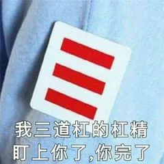 我三道杠的杠精盯上你了，你完了（我三道杠的杠精盯上你了，你完了）
